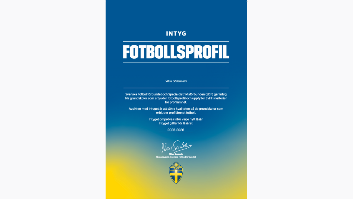 Intyg certifierad fotbollsprofil